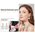 Genuine Natural Freshwater Pearl Earrings 925 Silver Baroque Pearl Drop Earrings 6