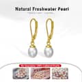 Trendy Freshwater Pearl Drop Earrings 925 Sterling Silver Hoop Earrings 2