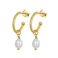 Cultured Freshwater Mabe Baroque Drop Pearl Earrings 925 Silver 14K Gold Plated 1