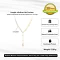 Luxury Half Paperclip 14K Gold Plated Chains Cultural Freshwater Pearls Long Tassel Pendant Necklace 4