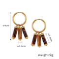 Brown Earrings A