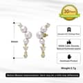 Luxury Fashion 14K Gold Plated 925 Sterling Silver Freshwater Pearl Zircon Earrings 4