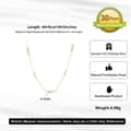 Minimalist Freshwater Pearls 925 Sterling Silver 14K Gold Plated Clavicular Chain Pearl Necklace 3