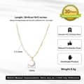 Luxury Romantic Natural Freshwater Pearl Moon Necklace 925 Sterling Silver 14K Gold Plated 5