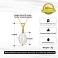 Elegant Single Pearl 925 Sterling Silver 14K Gold Plated Clavicle Chain Pearl Pendant Necklace 4