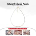 Mix Style Freshwater Pearl Chain 925 Sterling Silver Zircon Tennis Choker Necklace 4