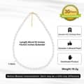 Elegant Natural Freshwater Pearl Choker Dainty Pearl Strand Party Necklace 3