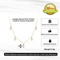 Natural Freshwater Pearl Clavicle Simple Choker Adjustable Necklace 3