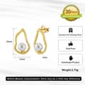 Teardrop Shaped Elegant S925 Sterling Silver Geometric Hollow Round White Pearl Earrings 5