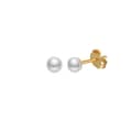 Gold Plated