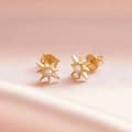 925 Sterling Silver Freshwater Pearl Eight-Pointed Star Stud Earrings 4