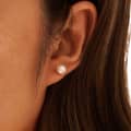 Freshwater Pearl Stud Earrings 925 Sterling Silver 3-6.5mm Pearl 4