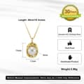 Fashionable High-end Temperament Pearl Shell Necklace Versatile Pendant 5