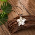 Frangipani