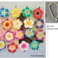 Round Shell-flower
