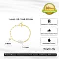 14K Gold Plated Natural Freshwater Irregular Baroque Pearl Paperclip Cable Chain Bracelet 4