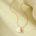 Gold Plated Shell Charm Necklace Waterproof Ocean Starfish Dolphin Collarbone Chain With Seashell Pendant 4