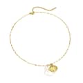 Gold Plated Shell Charm Necklace Waterproof Ocean Starfish Dolphin Collarbone Chain With Seashell Pendant 5