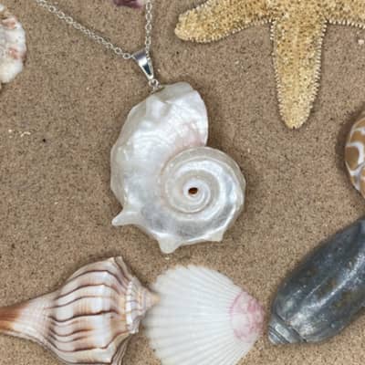 Natural Conch With Pearl Shell Pendant Necklace On Stainless Steel Chain detail 5