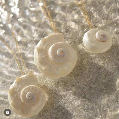 Natural Conch With Pearl Shell Pendant Necklace On Stainless Steel Chain detail 6