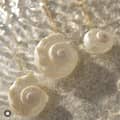 Natural Conch With Pearl Shell Pendant Necklace On Stainless Steel Chain 6