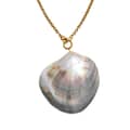 Ocean Series Geometric Stainless Steel Big Shell Pearl Pendant Necklace 1