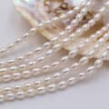 Natural White Rice Beads With Strong Light