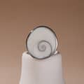 White Shell
