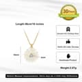 14K Gold Plated 925 Sterling Silver Chain Necklace Natural White Shell Flower Pendant 5