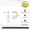 Light Luxury Freshwater Shell Pearl 925 Silver Stud Earrings 4