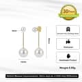 Classic Shell Pearl Long Snake Chain Tassel Earrings 925 Sterling Silver 4