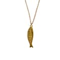 Gold-Fish