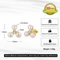 Gold Plated 925 Sterling Silver Freshwater Pearl Stud Earrings 3mm Zircon Accent Elegant 6