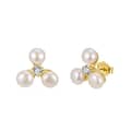 14K Gold Plated