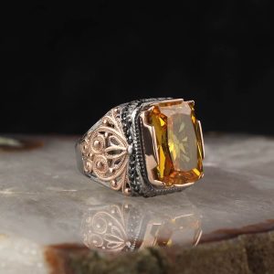 Fine Rings